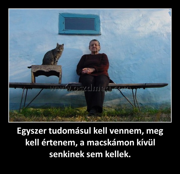 Egyszer tudomásul kell vennem, meg kell értenem, a macskámon kívül senkinek sem kellek.
 
