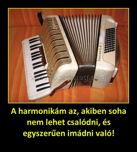 A harmonikám az, akiben soha nem lehet csalódni, és egyszerűen imádni való!
 
