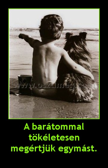 A barátommal tökéletesen megértjük egymást.
 
