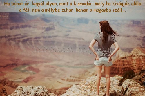 Ha bánat ér
 
Ha bánat ér, legyél olyan, mint a kismadár, mely ha kivágják alóla a fát, nem a mélybe zuhan, hanem a magasba száll...