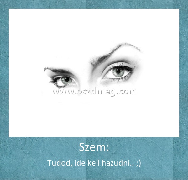 Szem:
 
Tudod, ide kell hazudni.. ;)