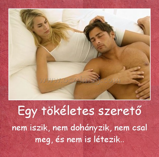 Egy tökéletes szerető Egy tökéletes szerető
nem iszik, nem dohányzik, nem csal meg, és nem is létezik..