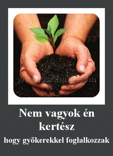 Nem vagyok én kertész
 
hogy gyökerekkel foglalkozzak