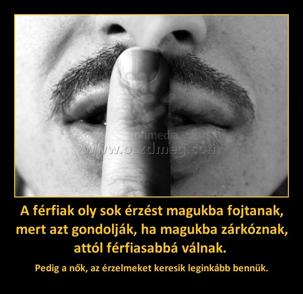 A férfiak oly sok érzést magukba fojtanak, mert azt gondolják, ha magukba zárkóznak, attól férfiasabbá válnak. A férfiak oly sok érzést magukba fojtanak, mert azt gondolják, ha magukba zárkóznak, attól férfiasabbá válnak.
Pedig a nők, az érzelmeket keresik leginkább bennük.