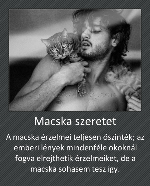 Macska szeretet Macska szeretet
A macska érzelmei teljesen őszinték; az emberi lények mindenféle okoknál fogva elrejthetik érzelmeiket, de a macska sohasem tesz így.