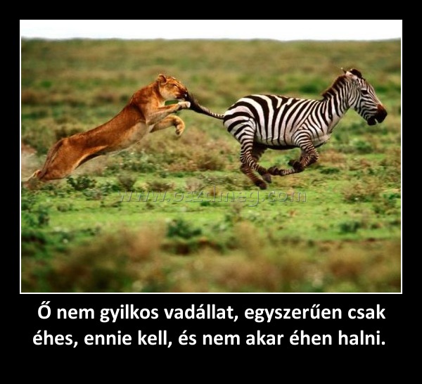 Ő nem gyilkos vadállat, egyszerűen csak éhes, ennie kell, és nem akar éhen halni. Ő nem gyilkos vadállat, egyszerűen csak éhes, ennie kell, és nem akar éhen halni.