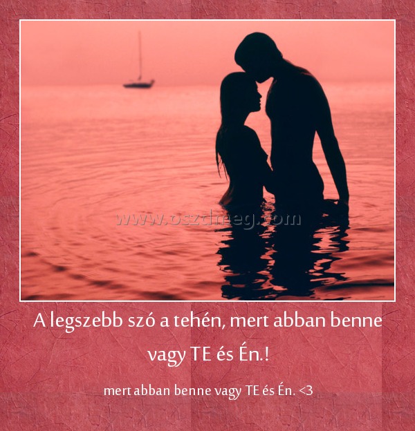 A legszebb szó a tehén, mert abban benne vagy TE és Én.! A legszebb szó a tehén, mert abban benne vagy TE és Én.!
mert abban benne vagy TE és Én. <3