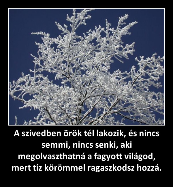 A szívedben örök tél lakozik, és nincs semmi, nincs senki, aki megolvaszthatná a fagyott világod, mert tíz körömmel ragaszkodsz hozzá.
 
