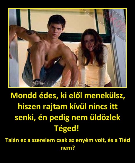 Mondd édes, ki elől menekülsz, hiszen rajtam kívül nincs itt senki, én pedig nem üldözlek Téged! 
 
Talán ez a szerelem csak az enyém volt, és a Tiéd nem?