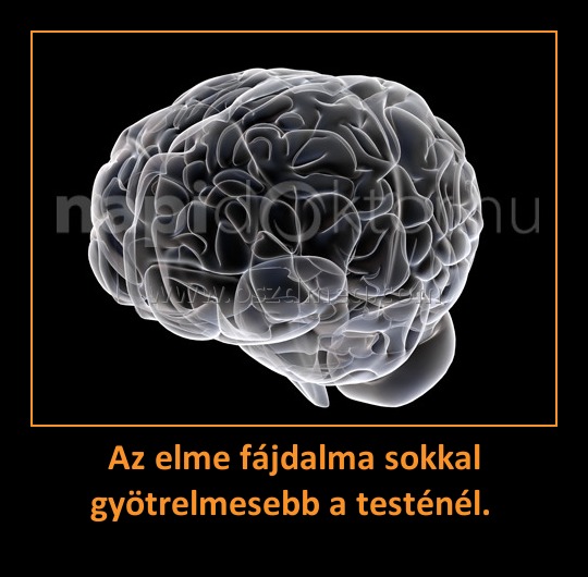 Az elme fájdalma sokkal gyötrelmesebb a testénél. 
 
