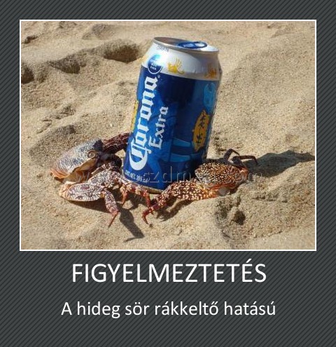 FIGYELMEZTETÉS
 
A hideg sör rákkeltő hatású