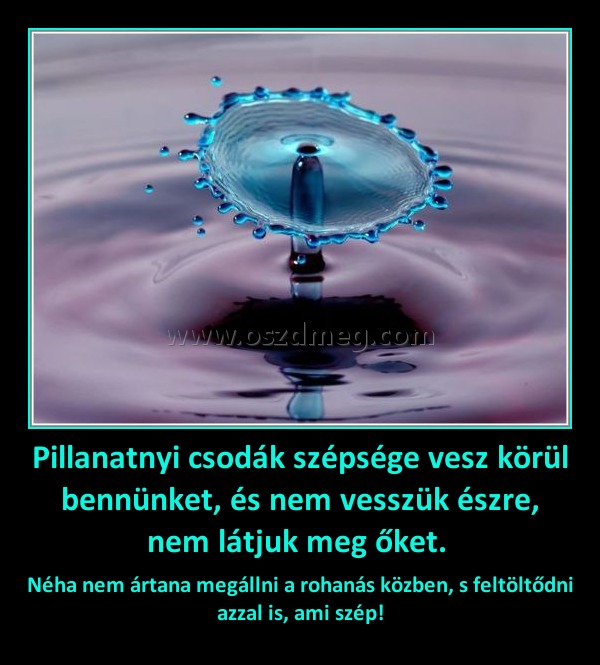 Pillanatnyi csodák szépsége vesz körül bennünket, és nem vesszük észre, nem látjuk meg őket. Pillanatnyi csodák szépsége vesz körül bennünket, és nem vesszük észre, nem látjuk meg őket.
Néha nem ártana megállni a rohanás közben, s feltöltődni azzal is, ami szép!