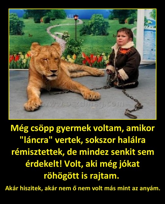 Még csöpp gyermek voltam, amikor "láncra" vertek, sokszor halálra rémisztettek, de mindez senkit sem érdekelt! Volt, aki még jókat röhögött is rajtam. Még csöpp gyermek voltam, amikor "láncra" vertek, sokszor halálra rémisztettek, de mindez senkit sem érdekelt! Volt, aki még jókat röhögött is rajtam.
Akár hiszitek, akár nem ő nem volt más mint az anyám.