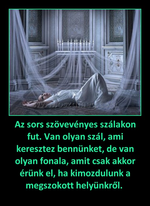 Az sors szövevényes szálakon fut. Van olyan szál, ami keresztez bennünket, de van olyan fonala, amit csak akkor érünk el, ha kimozdulunk a megszokott helyünkről. Az sors szövevényes szálakon fut. Van olyan szál, ami keresztez bennünket, de van olyan fonala, amit csak akkor érünk el, ha kimozdulunk a megszokott helyünkről.