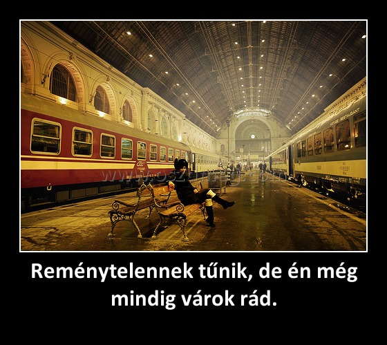 Reménytelennek tűnik, de én még mindig várok rád.
 

