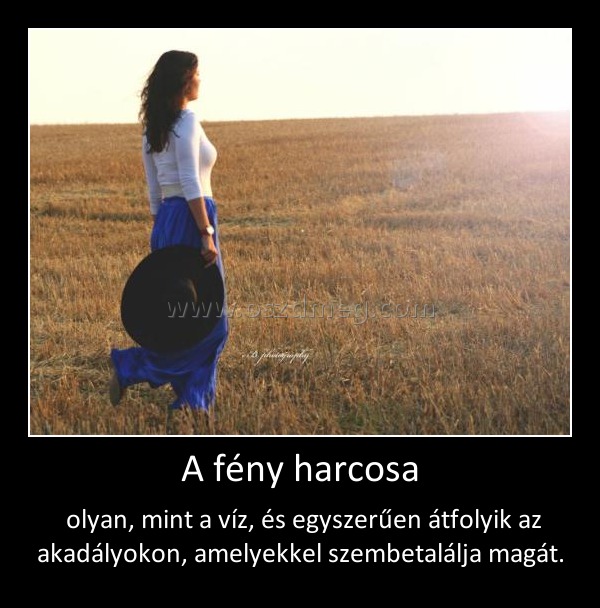 A fény harcosa
 
 olyan, mint a víz, és egyszerűen átfolyik az akadályokon, amelyekkel szembetalálja magát.