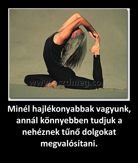 Minél hajlékonyabbak vagyunk, annál könnyebben tudjuk a nehéznek tűnő dolgokat megvalósítani. Minél hajlékonyabbak vagyunk, annál könnyebben tudjuk a nehéznek tűnő dolgokat megvalósítani.