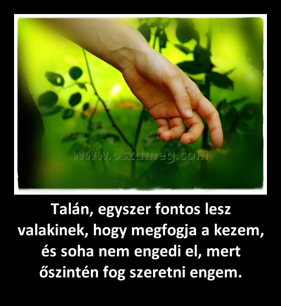 Talán, egyszer fontos lesz valakinek, hogy megfogja a kezem, és soha nem engedi el, mert őszintén fog szeretni engem. Talán, egyszer fontos lesz valakinek, hogy megfogja a kezem, és soha nem engedi el, mert őszintén fog szeretni engem.