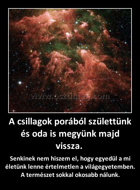 A csillagok porából születtünk és oda is megyünk majd vissza. A csillagok porából születtünk és oda is megyünk majd vissza.
Senkinek nem hiszem el, hogy egyedül a mi életünk lenne értelmetlen a világegyetemben. A természet sokkal okosabb nálunk.
