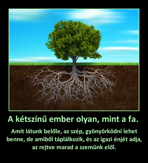 A kétszínű ember olyan, mint a fa. A kétszínű ember olyan, mint a fa.
Amit látunk belőle, az szép, gyönyörködni lehet benne, de amiből táplálkozik, és az igazi énjét adja, az rejtve marad a szemünk elől.