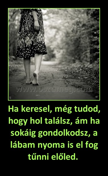 Ha keresel, még tudod, hogy hol találsz, ám ha sokáig gondolkodsz, a lábam nyoma is el fog tűnni előled. Ha keresel, még tudod, hogy hol találsz, ám ha sokáig gondolkodsz, a lábam nyoma is el fog tűnni előled.