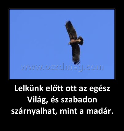 Lelkünk előtt ott az egész Világ, és szabadon szárnyalhat, mint a madár.
 
