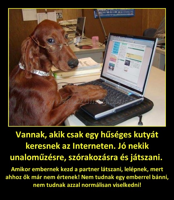 Vannak, akik csak egy hűséges kutyát keresnek az Interneten. Jó nekik unaloműzésre, szórakozásra és játszani. Vannak, akik csak egy hűséges kutyát keresnek az Interneten. Jó nekik unaloműzésre, szórakozásra és játszani.
Amikor embernek kezd a partner látszani, lelépnek, mert ahhoz ők már nem értenek! Nem tudnak egy emberrel bánni, nem tudnak azzal normálisan viselkedni!