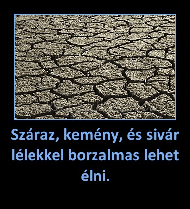 Száraz, kemény, és sivár lélekkel borzalmas lehet élni. Száraz, kemény, és sivár lélekkel borzalmas lehet élni.