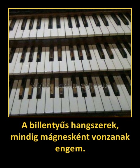 A billentyűs hangszerek, mindig mágnesként vonzanak engem. A billentyűs hangszerek, mindig mágnesként vonzanak engem.