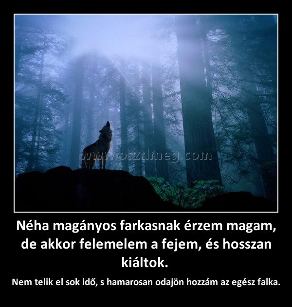 Néha magányos farkasnak érzem magam, de akkor felemelem a fejem, és hosszan kiáltok. Néha magányos farkasnak érzem magam, de akkor felemelem a fejem, és hosszan kiáltok.
Nem telik el sok idő, s hamarosan odajön hozzám az egész falka.