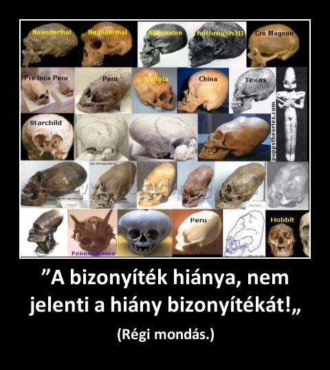 ”A bizonyíték hiánya, nem jelenti a hiány bizonyítékát!„ ”A bizonyíték hiánya, nem jelenti a hiány bizonyítékát!„
(Régi mondás.)