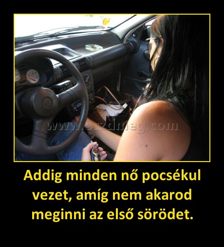Addig minden nő pocsékul vezet, amíg nem akarod meginni az első sörödet. Addig minden nő pocsékul vezet, amíg nem akarod meginni az első sörödet.