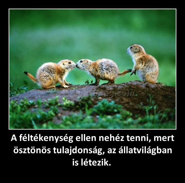A féltékenység ellen nehéz tenni, mert ösztönös tulajdonság, az állatvilágban is létezik. A féltékenység ellen nehéz tenni, mert ösztönös tulajdonság, az állatvilágban is létezik.