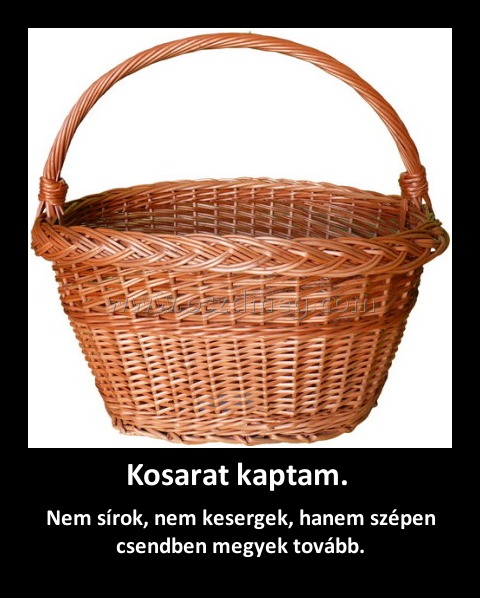 Kosarat kaptam. 
 
Nem sírok, nem kesergek, hanem szépen csendben megyek tovább.