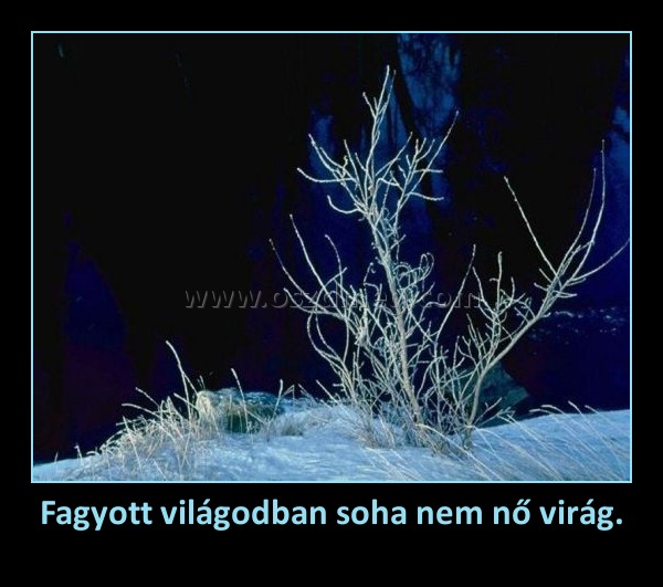 Fagyott világodban soha nem nő virág.
 
