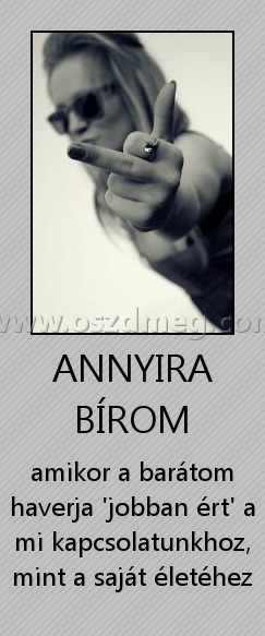 ANNYIRA BÍROM ANNYIRA BÍROM
amikor a barátom haverja 'jobban ért' a mi kapcsolatunkhoz, mint a saját életéhez
