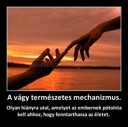 A vágy természetes mechanizmus. A vágy természetes mechanizmus.
Olyan hiányra utal, amelyet az embernek pótolnia kell ahhoz, hogy fenntarthassa az életet.
