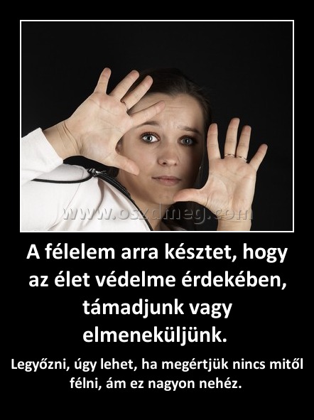 A félelem arra késztet, hogy az élet védelme érdekében, támadjunk vagy elmeneküljünk. A félelem arra késztet, hogy az élet védelme érdekében, támadjunk vagy elmeneküljünk.
Legyőzni, úgy lehet, ha megértjük nincs mitől félni, ám ez nagyon nehéz.