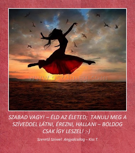 SZABAD VAGY! – ÉLD AZ ÉLETED; TANULJ MEG A SZÍVEDDEL LÁTNI, ÉREZNI, HALLANI – BOLDOG CSAK ÍGY LESZEL! :-) SZABAD VAGY! – ÉLD AZ ÉLETED; TANULJ MEG A SZÍVEDDEL LÁTNI, ÉREZNI, HALLANI – BOLDOG CSAK ÍGY LESZEL! :-)
Szerető Szívvel: Angyalcsillag – Kiss T.