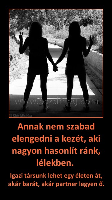Annak nem szabad elengedni a kezét, aki nagyon hasonlít ránk, lélekben. Annak nem szabad elengedni a kezét, aki nagyon hasonlít ránk, lélekben.
Igazi társunk lehet egy életen át, akár barát, akár partner legyen ő.
