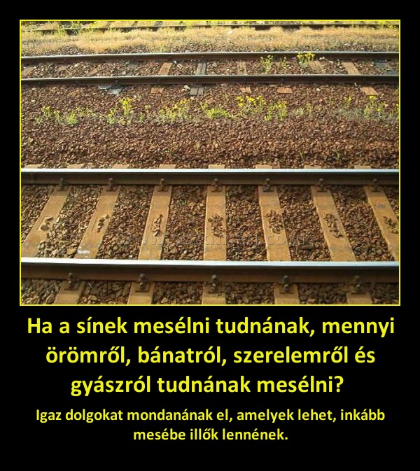 Ha a sínek mesélni tudnának, mennyi örömről, bánatról, szerelemről és gyászról tudnának mesélni? 
 
Igaz dolgokat mondanának el, amelyek lehet, inkább mesébe illők lennének.
