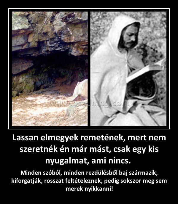 Lassan elmegyek remetének, mert nem szeretnék én már mást, csak egy kis nyugalmat, ami nincs. Lassan elmegyek remetének, mert nem szeretnék én már mást, csak egy kis nyugalmat, ami nincs.
Minden szóból, minden rezdülésből baj származik, kiforgatják, rosszat feltételeznek, pedig sokszor meg sem merek nyikkanni!