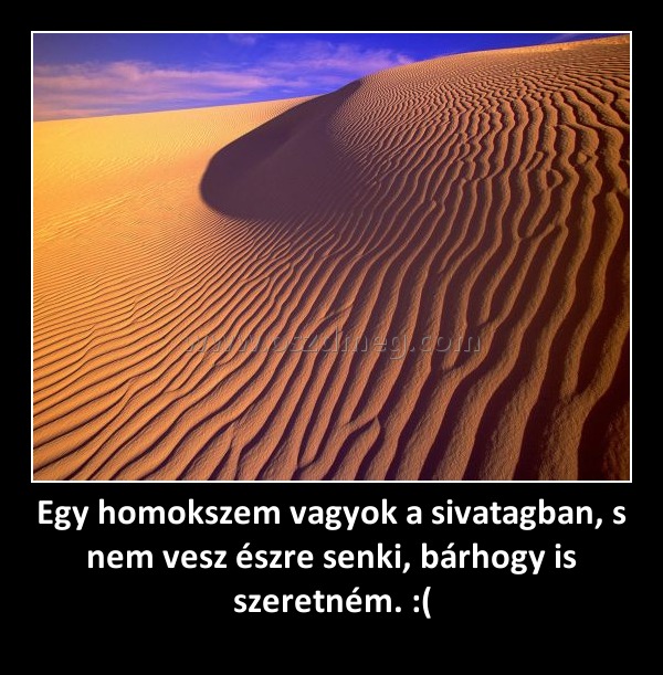Egy homokszem vagyok a sivatagban, s nem vesz észre senki, bárhogy is szeretném. :( Egy homokszem vagyok a sivatagban, s nem vesz észre senki, bárhogy is szeretném. :(