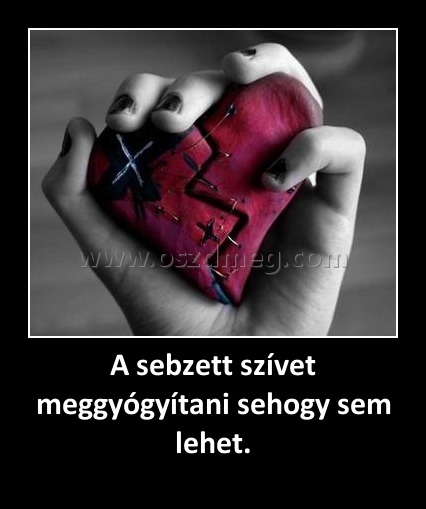 A sebzett szívet meggyógyítani sehogy sem lehet.
 
