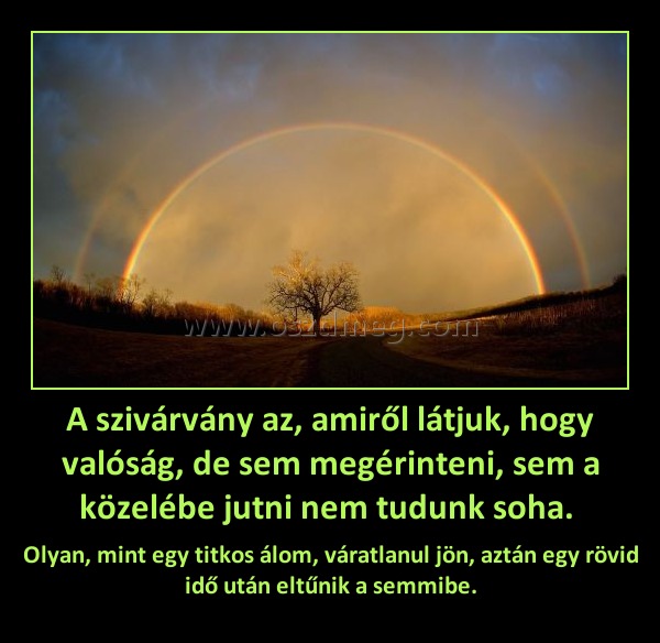A szivárvány az, amiről látjuk, hogy valóság, de sem megérinteni, sem a közelébe jutni nem tudunk soha. A szivárvány az, amiről látjuk, hogy valóság, de sem megérinteni, sem a közelébe jutni nem tudunk soha.
Olyan, mint egy titkos álom, váratlanul jön, aztán egy rövid idő után eltűnik a semmibe.