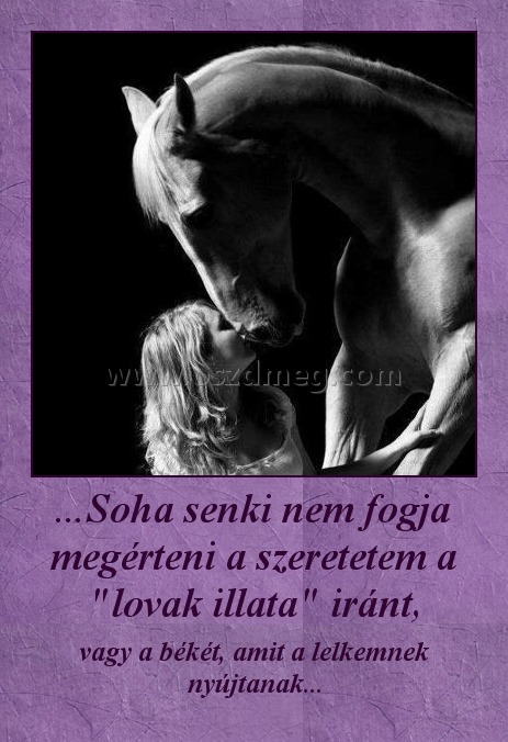 ...Soha senki nem fogja megérteni a szeretetem a "lovak illata" iránt, ...Soha senki nem fogja megérteni a szeretetem a "lovak illata" iránt,
vagy a békét, amit a lelkemnek nyújtanak...