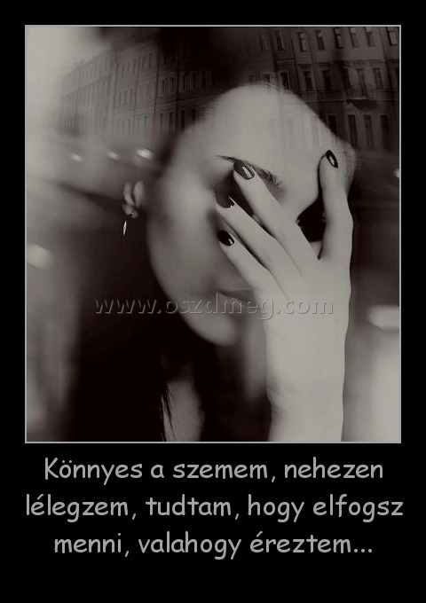 Könnyes a szemem, nehezen lélegzem, tudtam, hogy elfogsz menni, valahogy éreztem... Könnyes a szemem, nehezen lélegzem, tudtam, hogy elfogsz menni, valahogy éreztem...