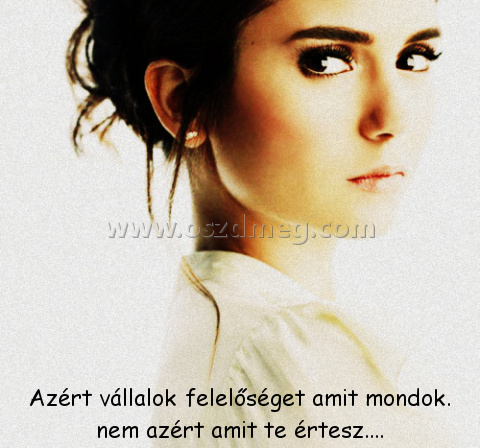 Azért vállalok felelőséget amit Azért vállalok felelőséget amit
Azért vállalok felelőséget amit mondok. nem azért amit te értesz....