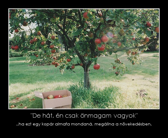 "De hát, én csak önmagam vagyok" "De hát, én csak önmagam vagyok"
..ha ezt egy kopár almafa mondaná, megállna a növekedésben.