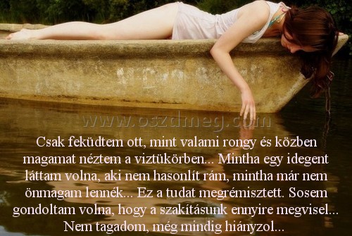Csak feküdtem ott Csak feküdtem ott
Csak feküdtem ott, mint valami rongy és közben magamat néztem a viztükörben... Mintha egy idegent láttam volna, aki nem hasonlít rám, mintha már nem önmagam lennék... Ez a tudat megrémisztett. Sosem gondoltam volna, hogy a szakításunk ennyire megvisel... Nem tagadom, még mindig hiányzol...